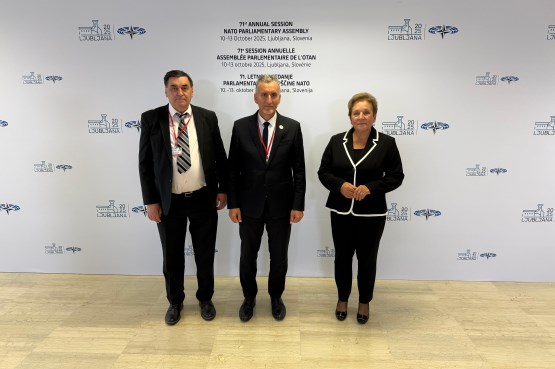 Članovi Delegacije PSBiH u PSNATO-a učestvovali u radu komiteta PSNATO-a u okviru 71. godišnjeg zasjedanja PSNATO-a u Ljubljani 